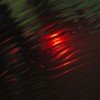 CRW_8606_1